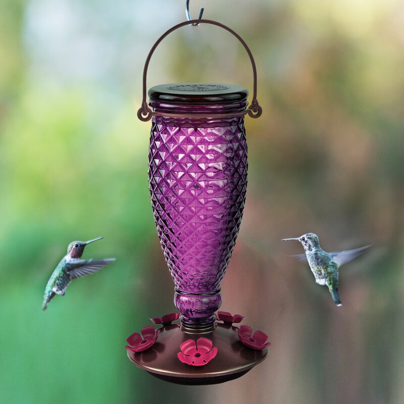 Bungalow Rose Wani Diamond Wine Top-Fill Glass Hummingbird Feeder